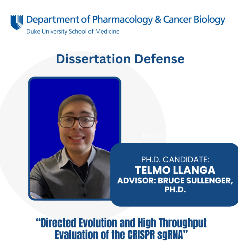 Llanga, T - Defense Announcement