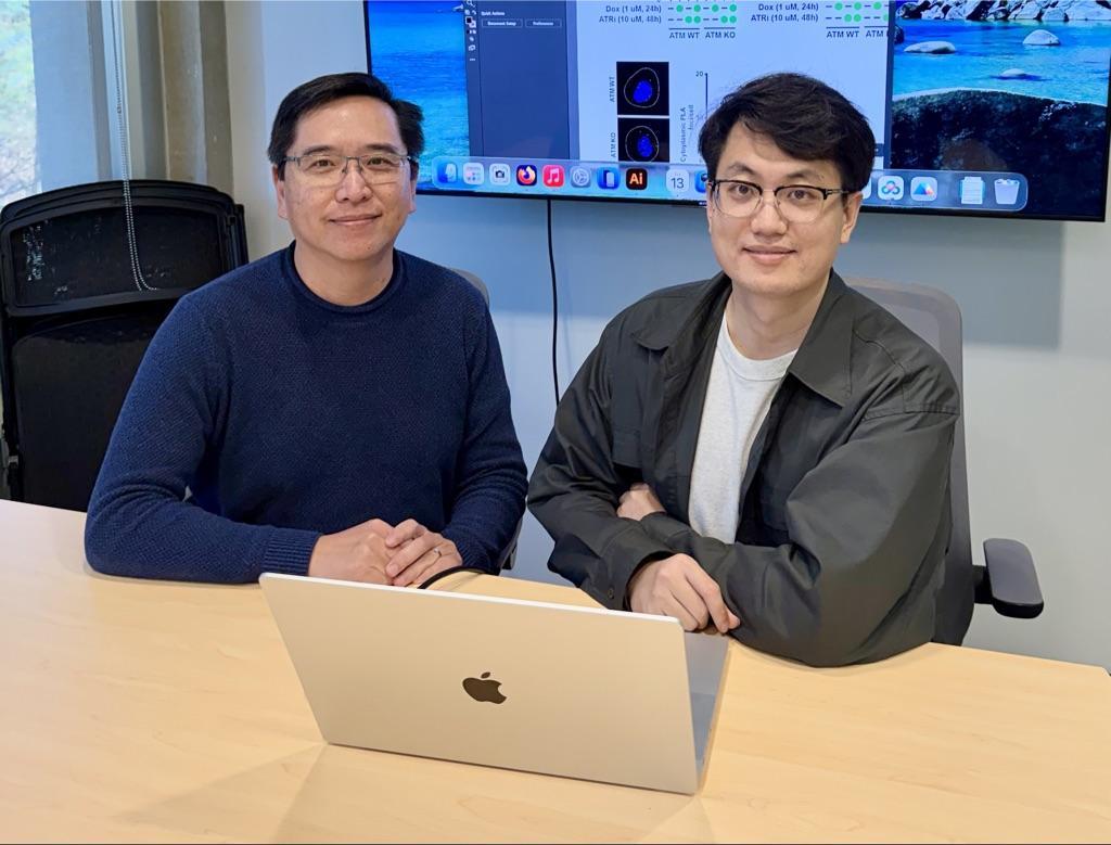 Lee Zou, PhD, and Yunhao Song, PhD, found a surprising reason why ATR inhibitors work for only a subset of cancer patients with ATM kinase mutations