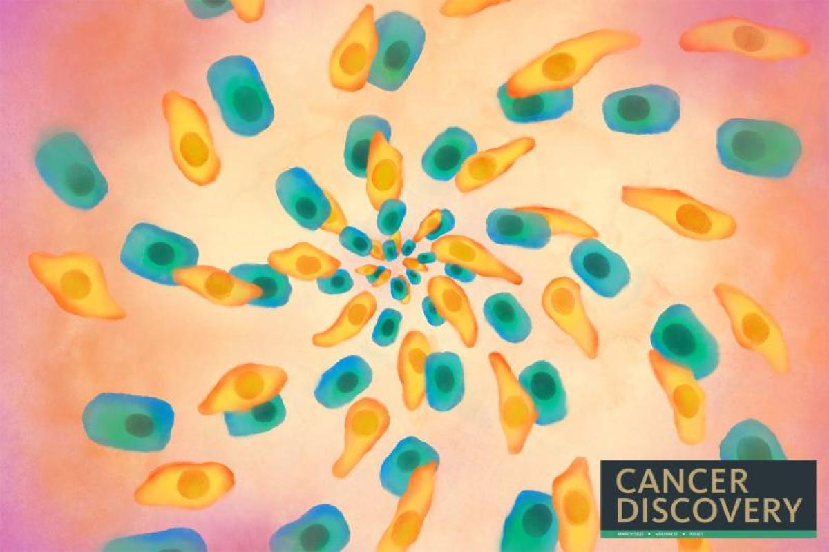 Painting of mesenchymal cancer cells and epithelial cancer cells 