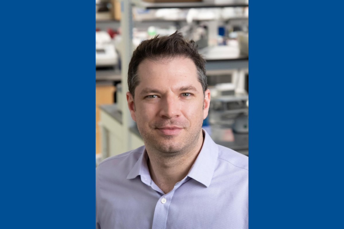 Andrew West, PhD