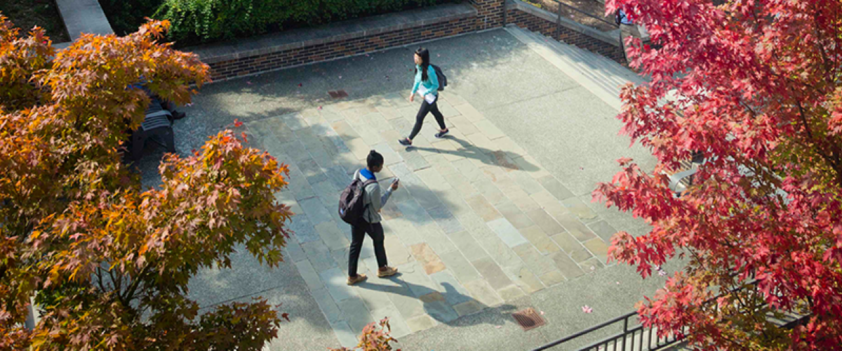 Students walking through a quad surrounded by trees with autumn colored leaves