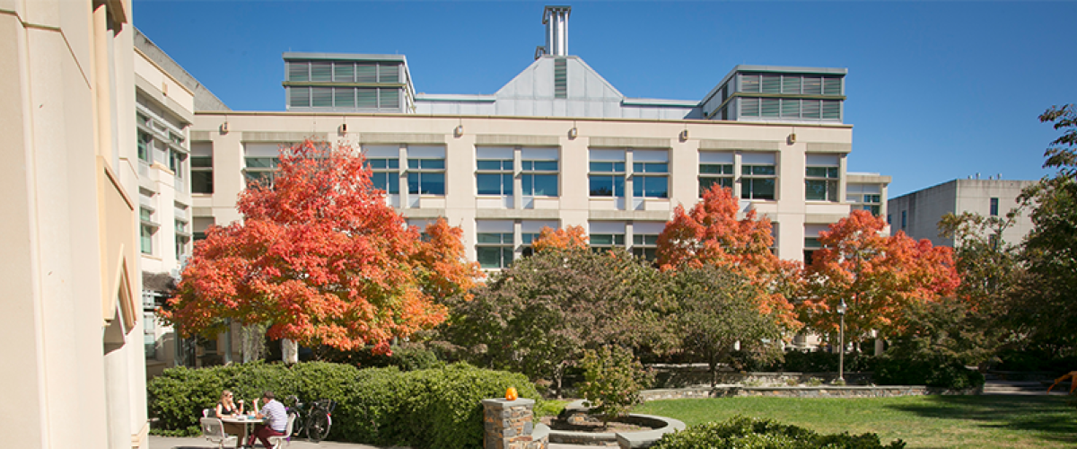 LSRC with autumn leaves.