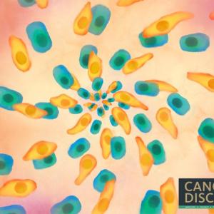 Painting of mesenchymal cancer cells and epithelial cancer cells 