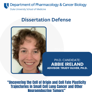 Ireland,A-Defense-Announcement